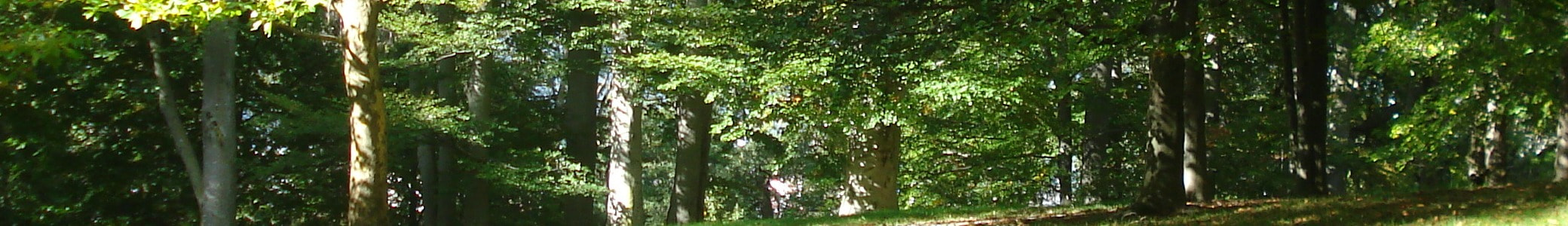 日本アグリフォレストリー研究所